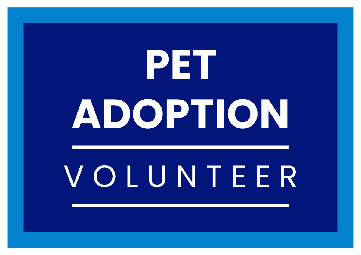 Free Pet Adoption Volunteer Sign Template to Edit Online