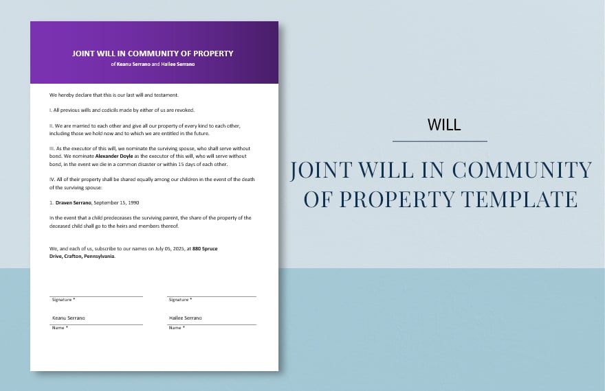 Joint Will in Community of Property Template
