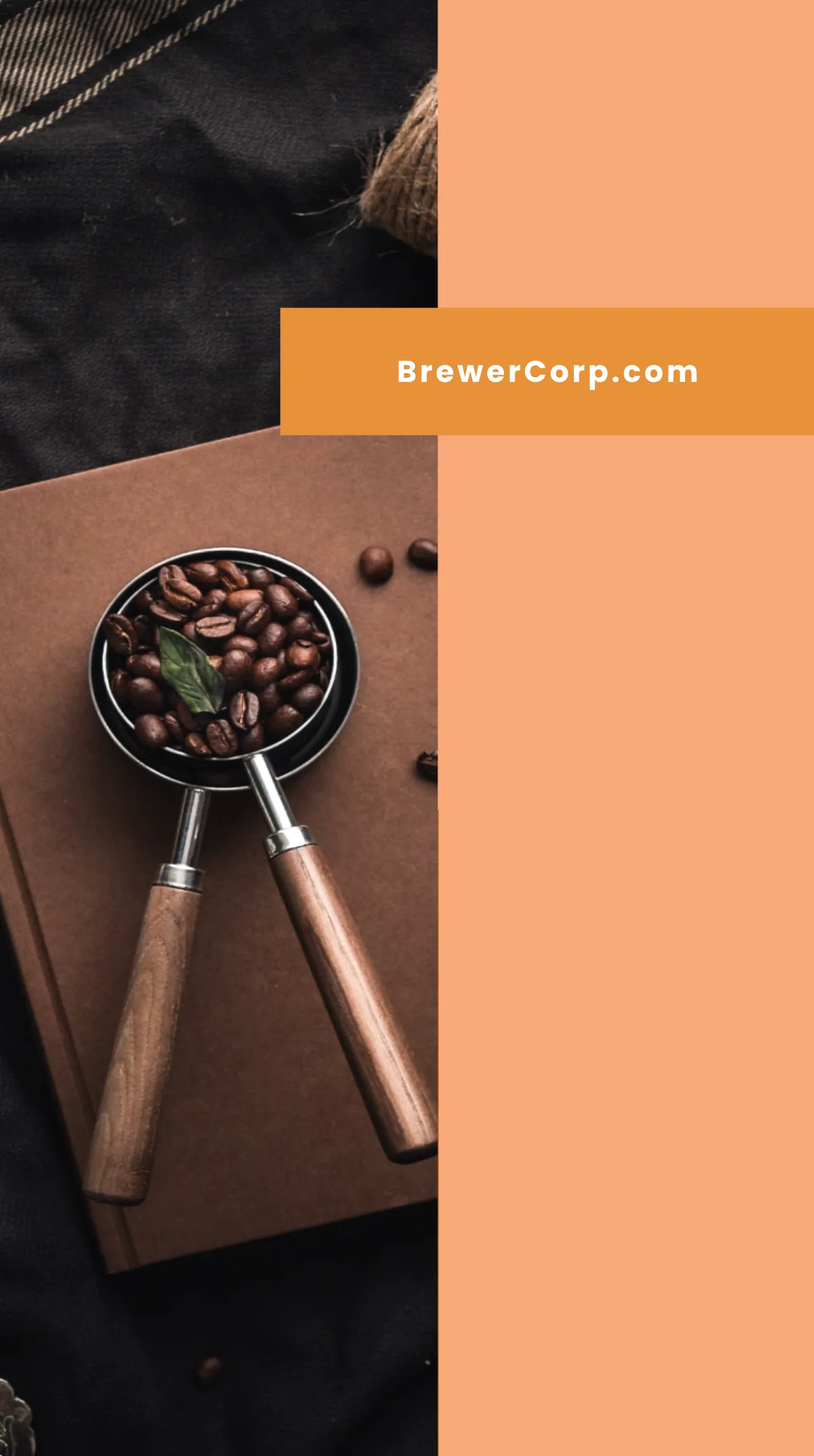 Free Product Launch Linkedin Story Template to Edit Online