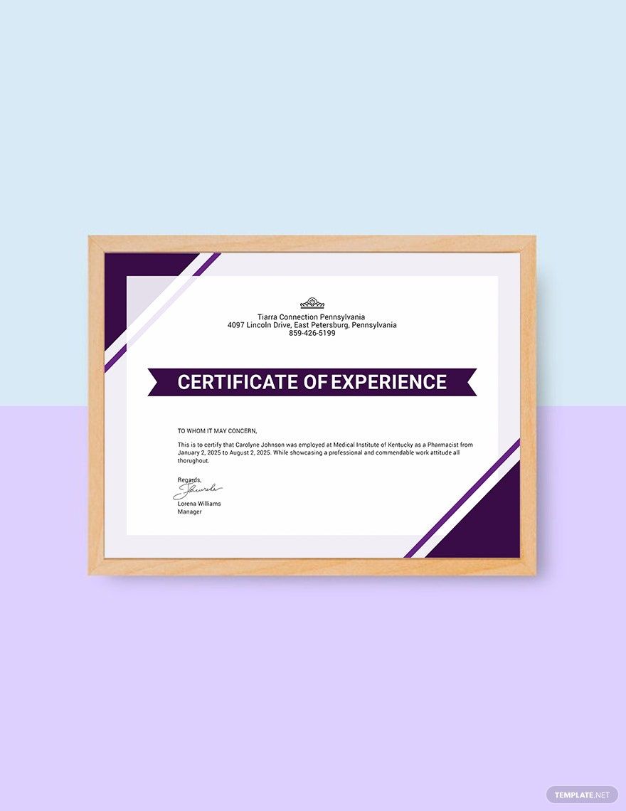 Certificate of Job Experience Template
