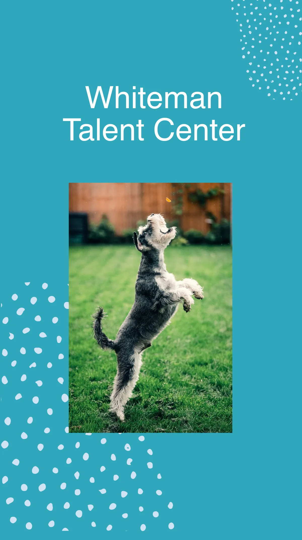 Free Event Invitation Instagram Story Template to Edit Online