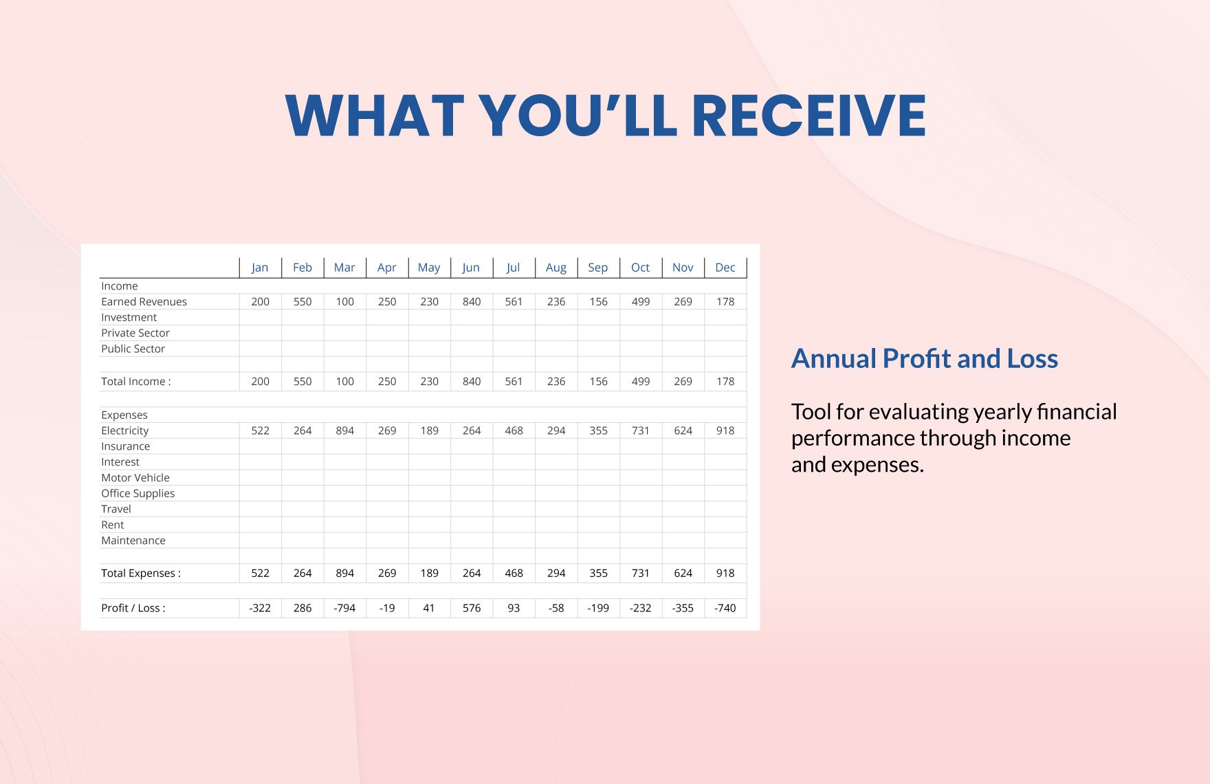 Annual Profit and Loss Template