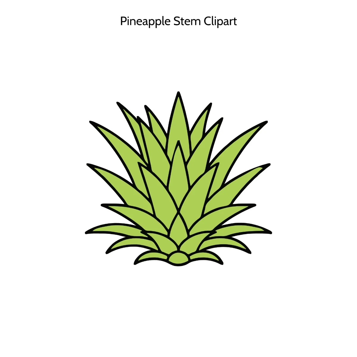 Free Pineapple Stem Clipart Template to Edit Online