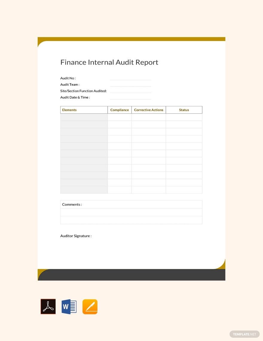 Finance Internal Audit Report Template
