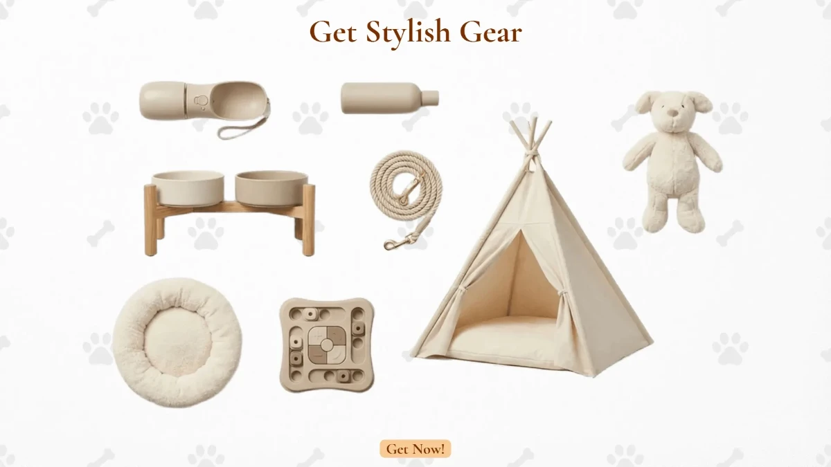 Free Pet Accessory Background Template to Edit Online