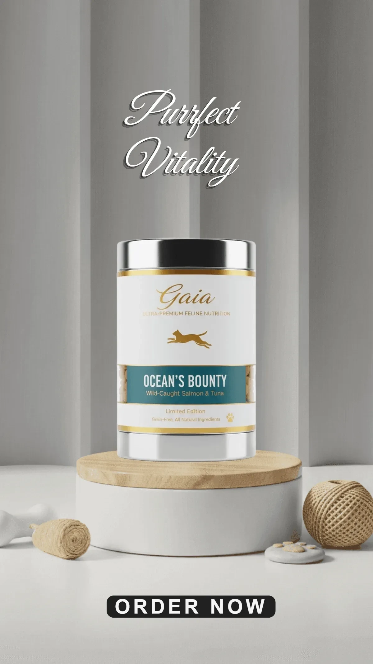 Free Modern Pet Product Background Template to Edit Online Free Modern Pet Product Background Template to Edit Online