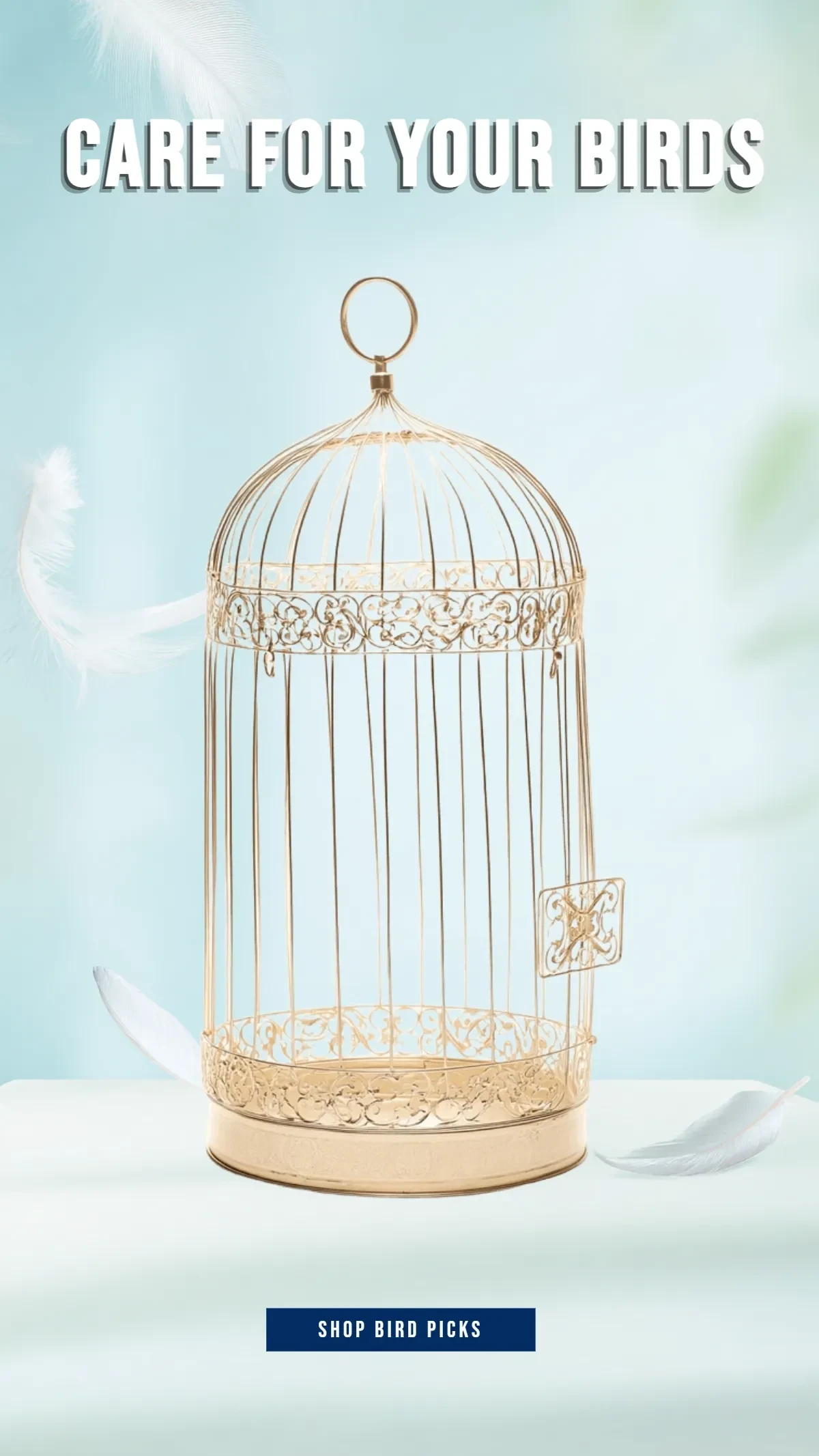 Free Bird Product Showcase Background Template to Edit Online