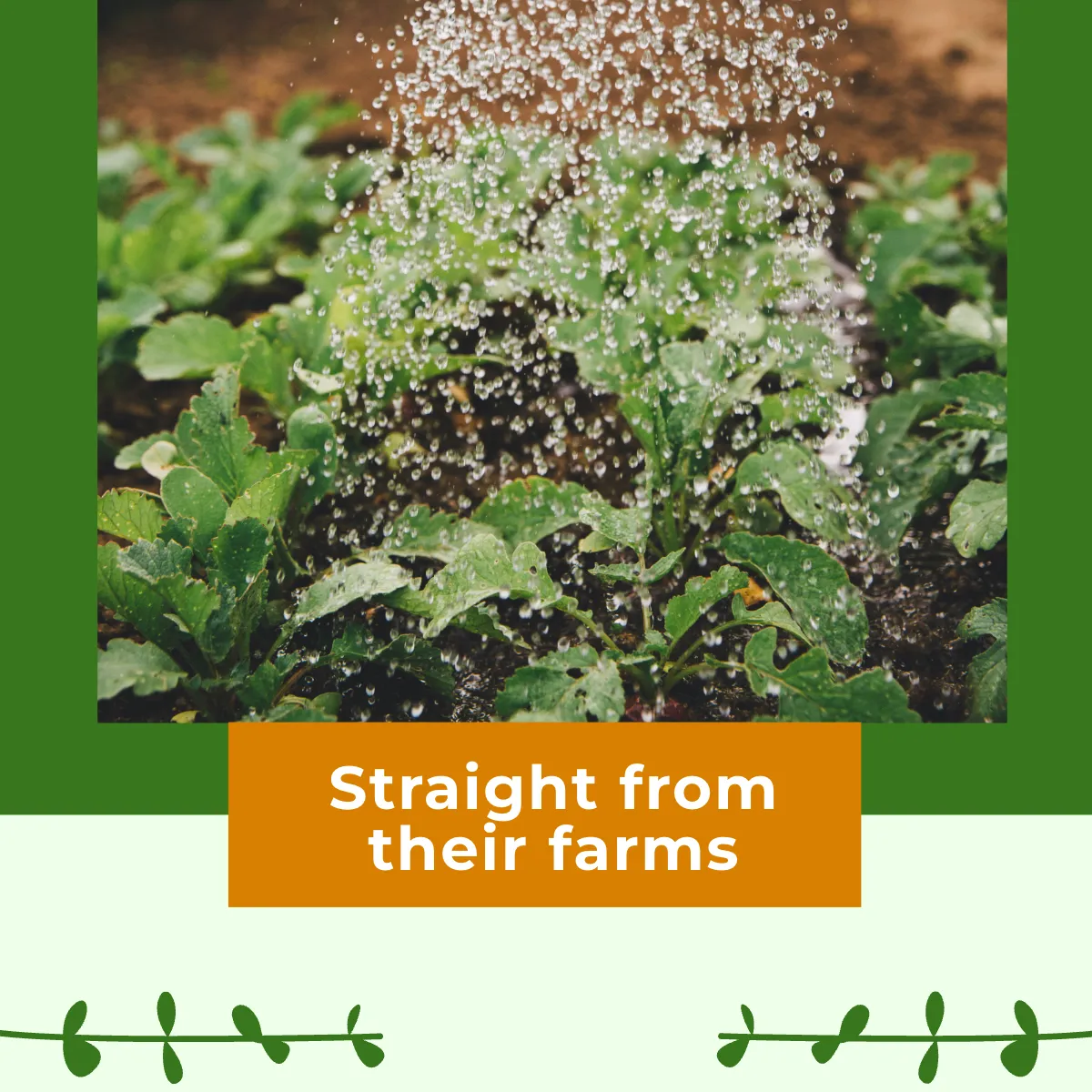 Free Farmers Market Facebook Carousel Ad Template to Edit Online