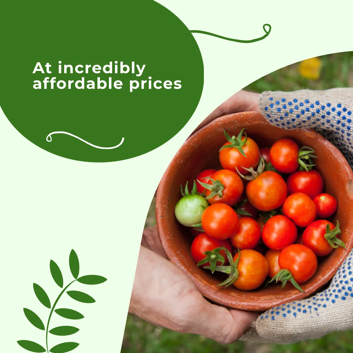 Free Farmers Market Facebook Carousel Ad Template to Edit Online