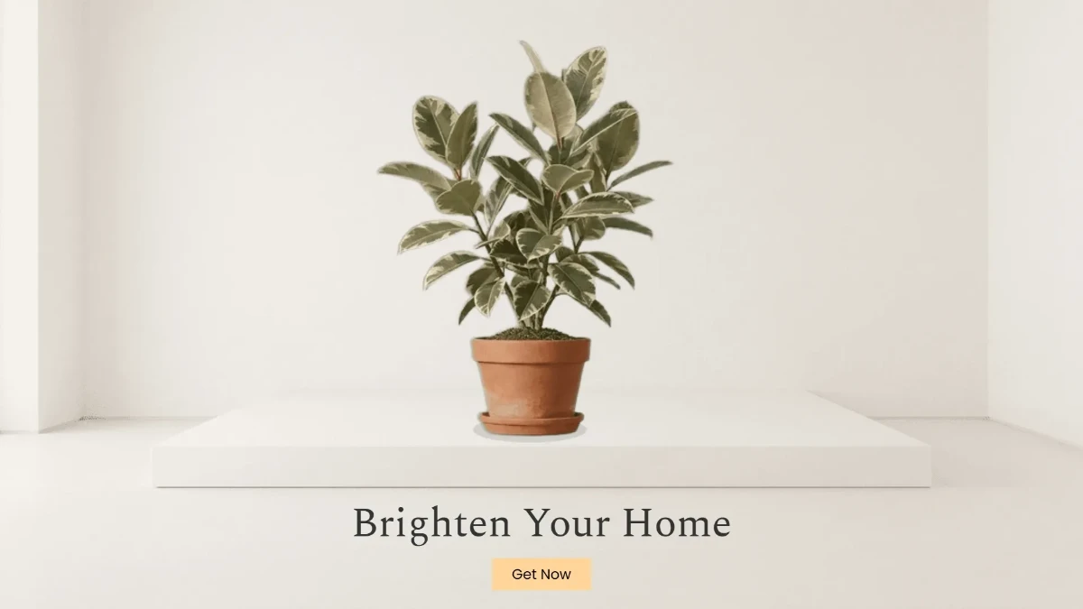 Free Natural Light Home Decor Background Template to Edit Online