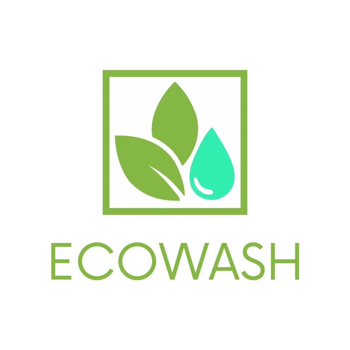 Free Eco Car Wash Logo Template