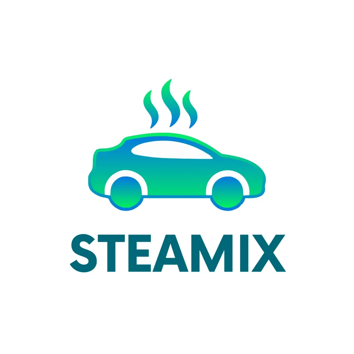 Free Steam Car Wash Logo Template