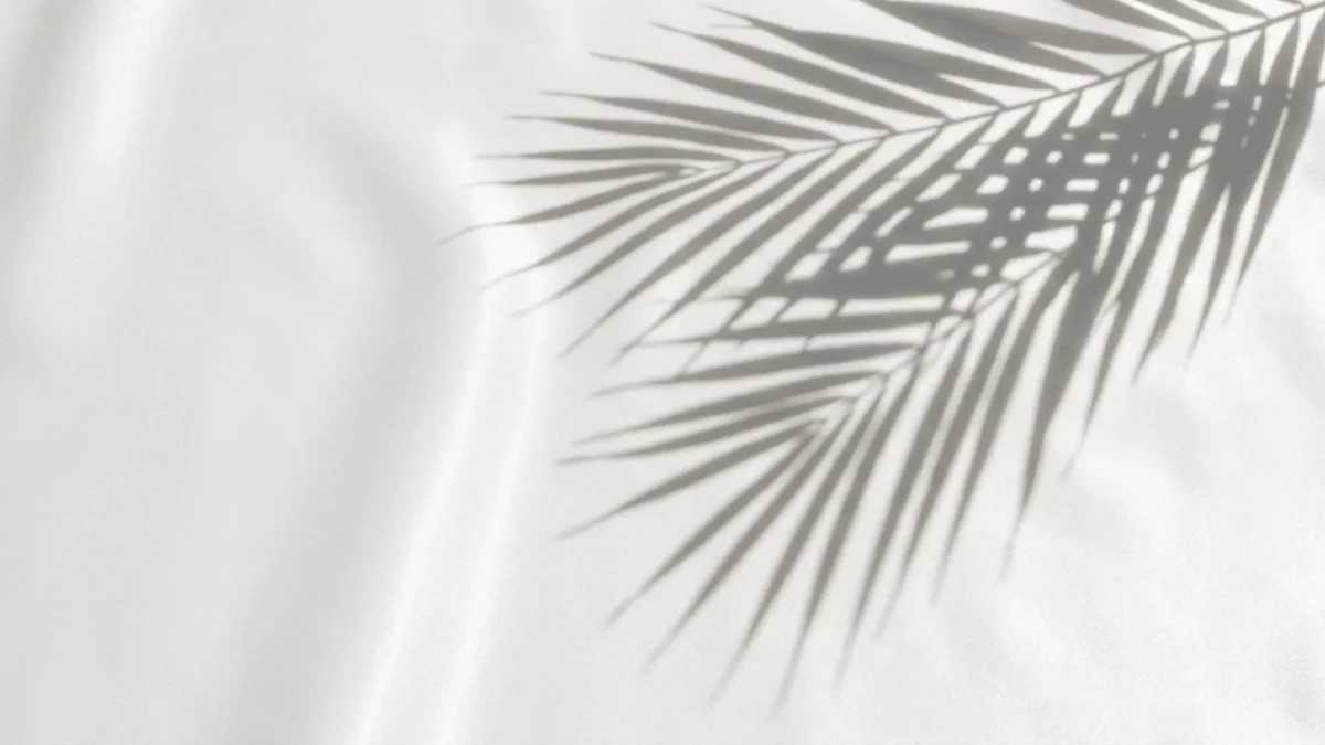 Free Light Shadow White Background Template to Edit Online Free Light Shadow White Background Template to Edit Online