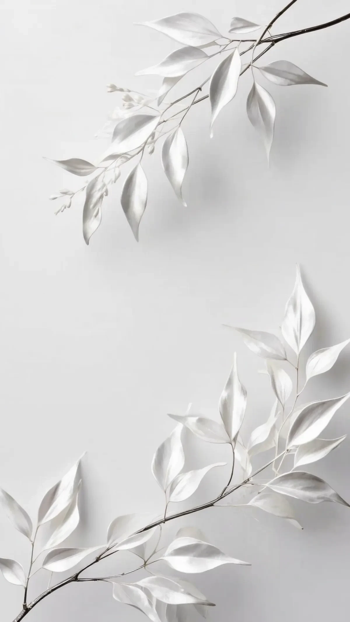 Free Modern Minimal White Background Template to Edit Online