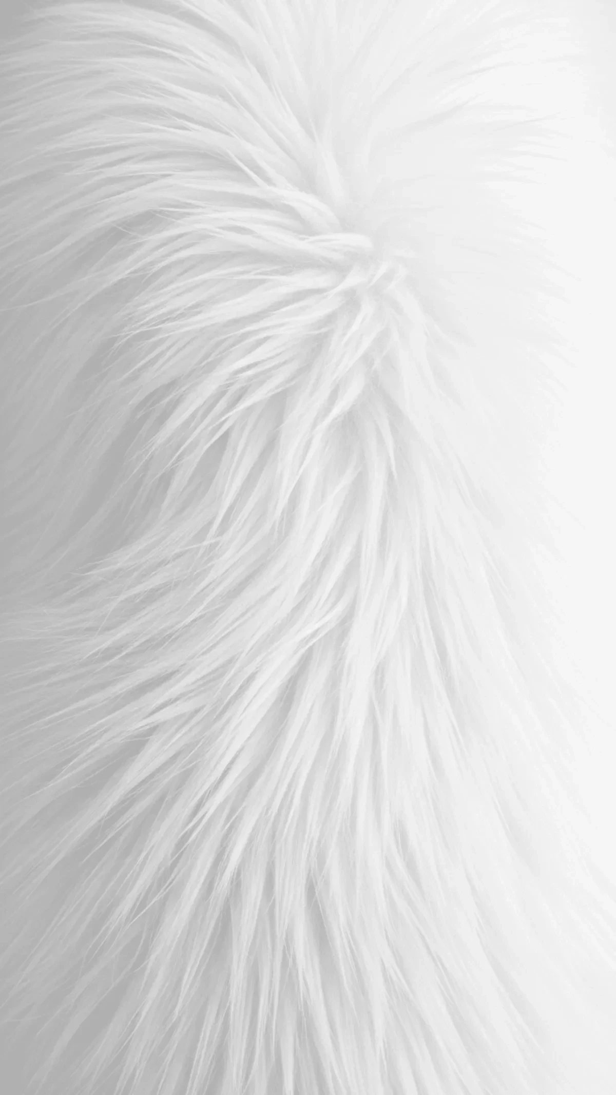 Free Minimal Texture White Background Template to Edit Online