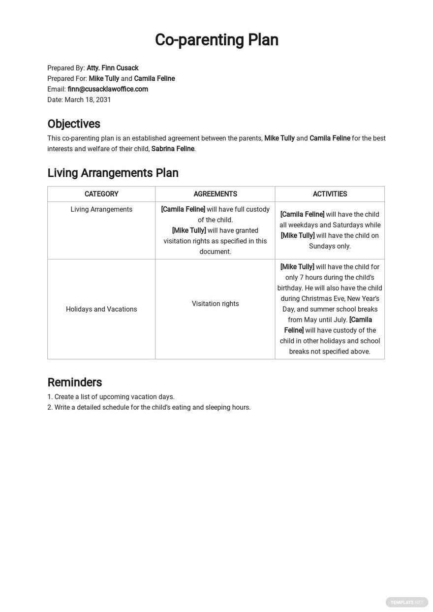 Co-parenting Plan Template