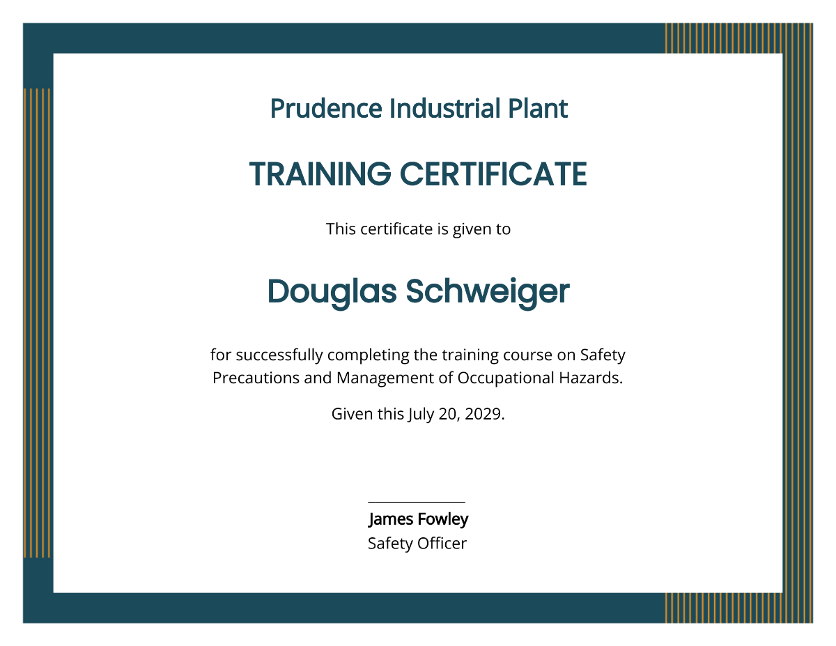 Industrial Training Certificate Template