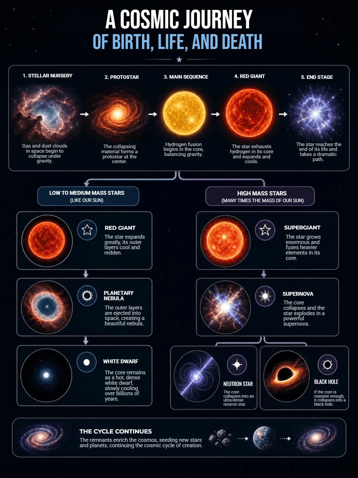 Free Science Infographic Template to Edit Online