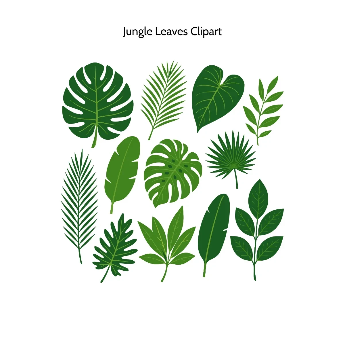 Free Jungle Leaves Clipart Template to Edit Online