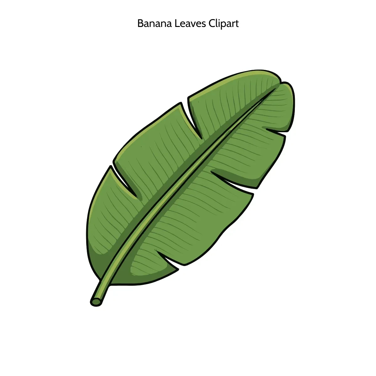 Free Banana Leaves Clipart Template to Edit Online