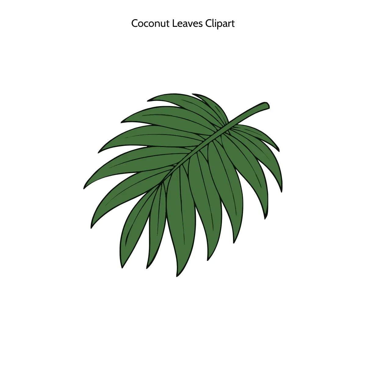Free Coconut Leaves Clipart Template to Edit Online