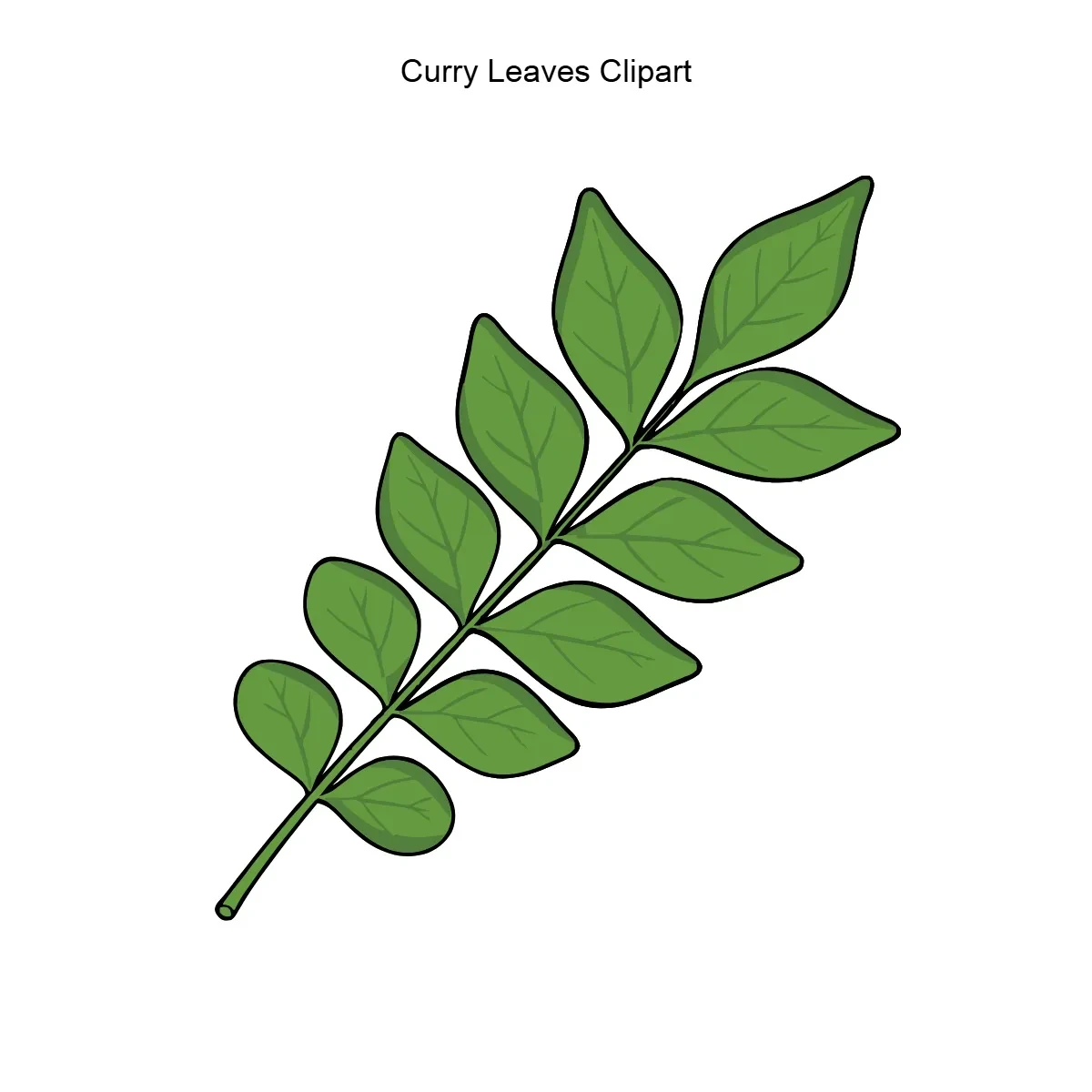 Free Curry Leaves Clipart Template to Edit Online