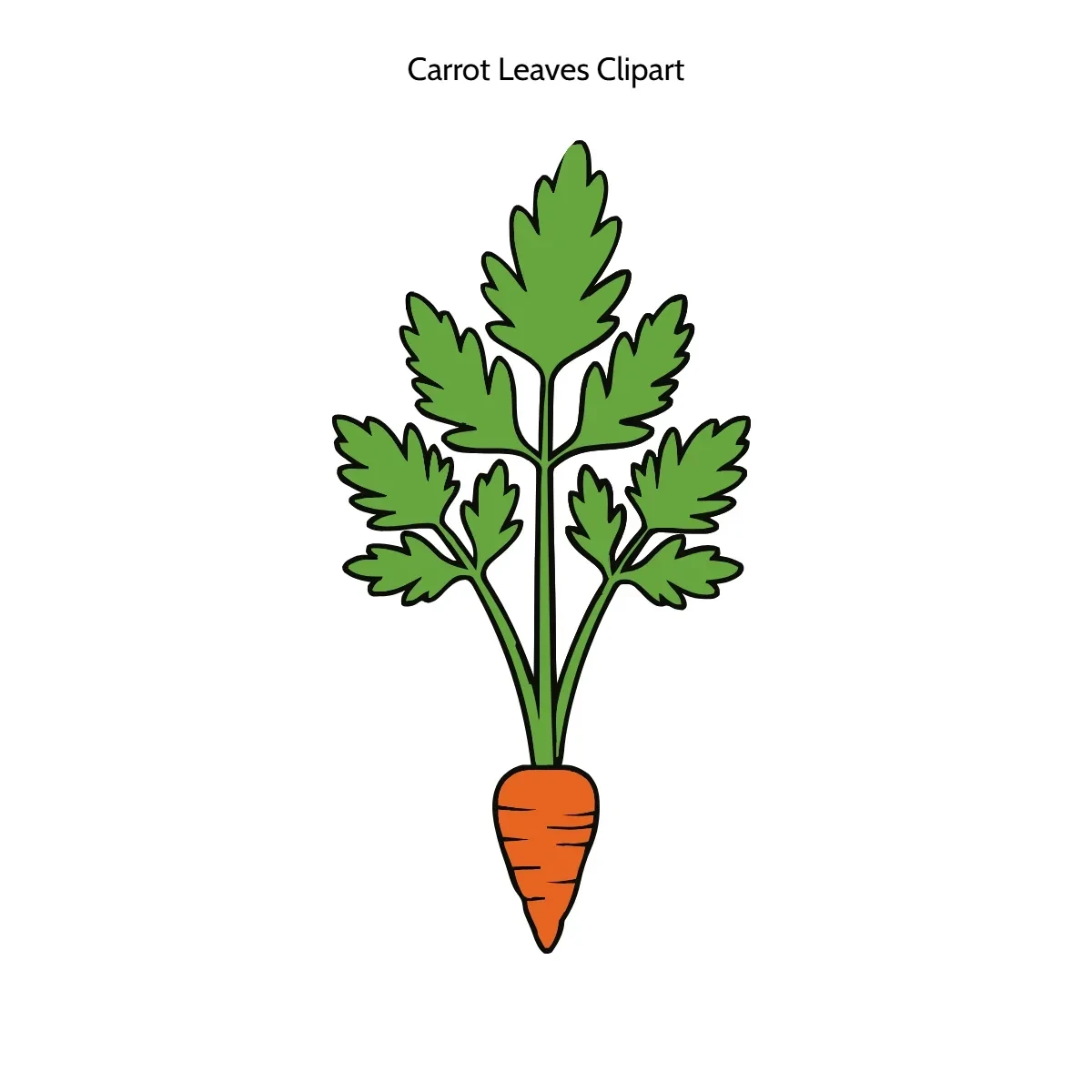 Free Carrot Leaves Clipart Template to Edit Online