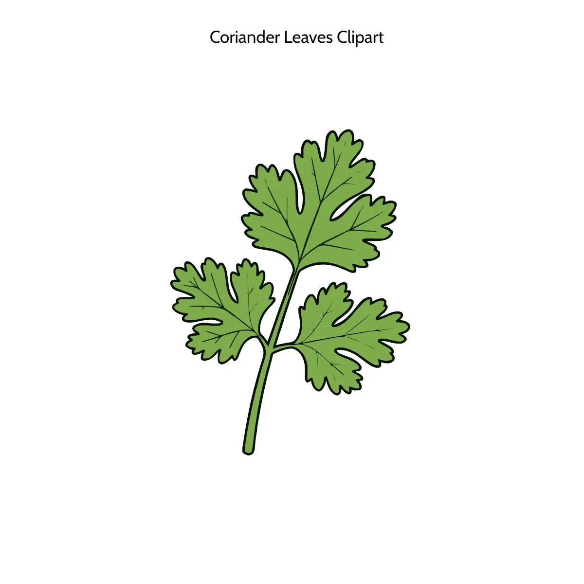 Free Coriander Leaves Clipart Template to Edit Online