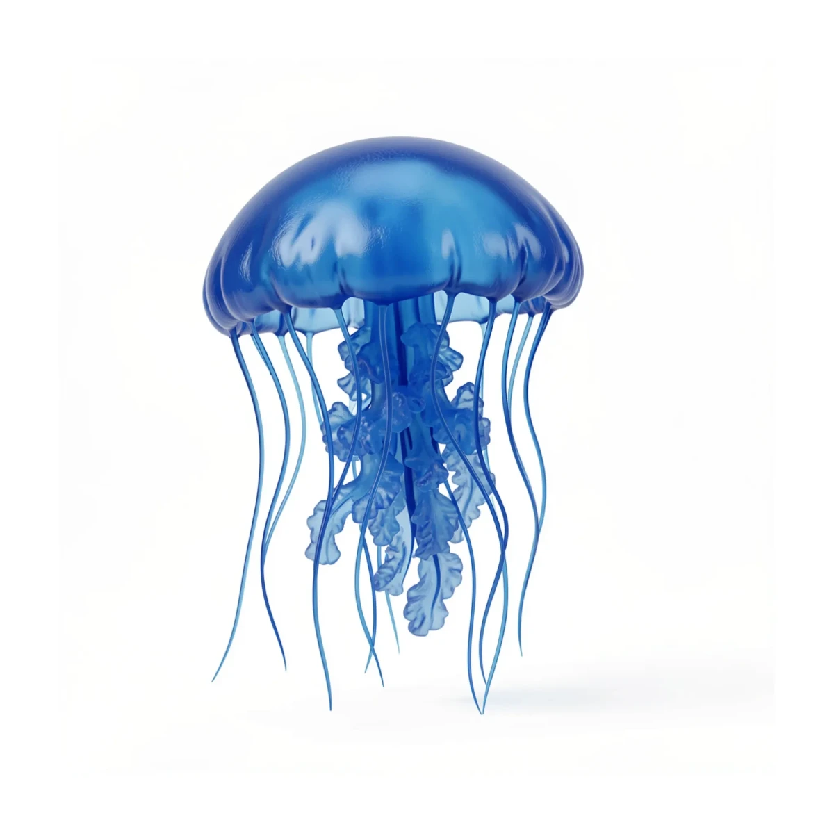 Free 3D Jellyfish Template to Edit Online