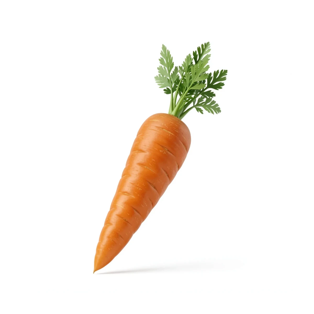 Free 3D Carrot Template to Edit Online