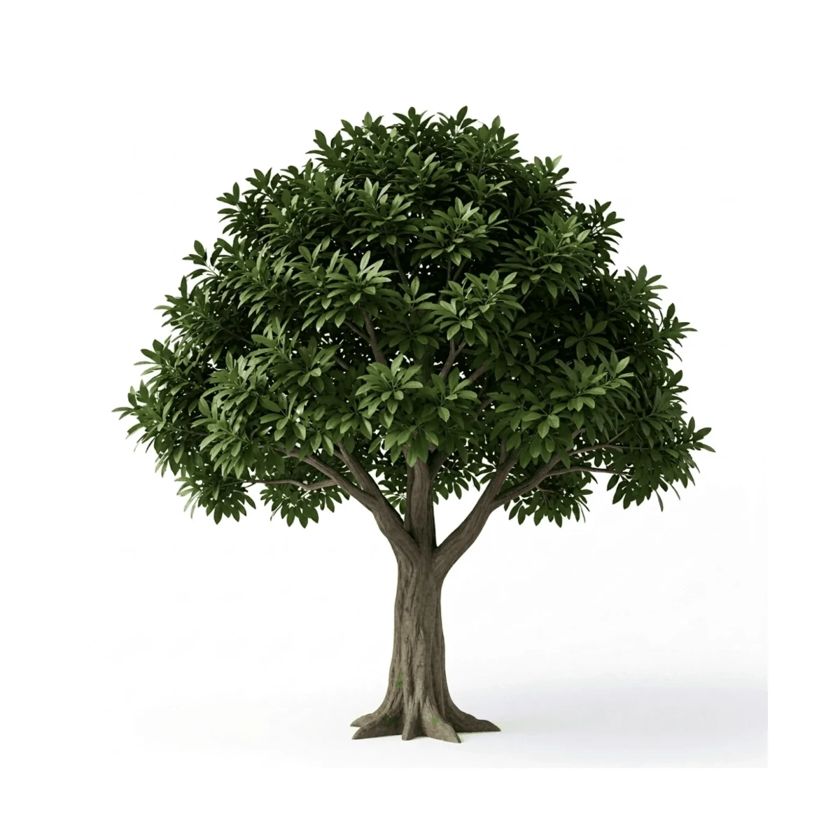Free 3D Tree Template to Edit Online