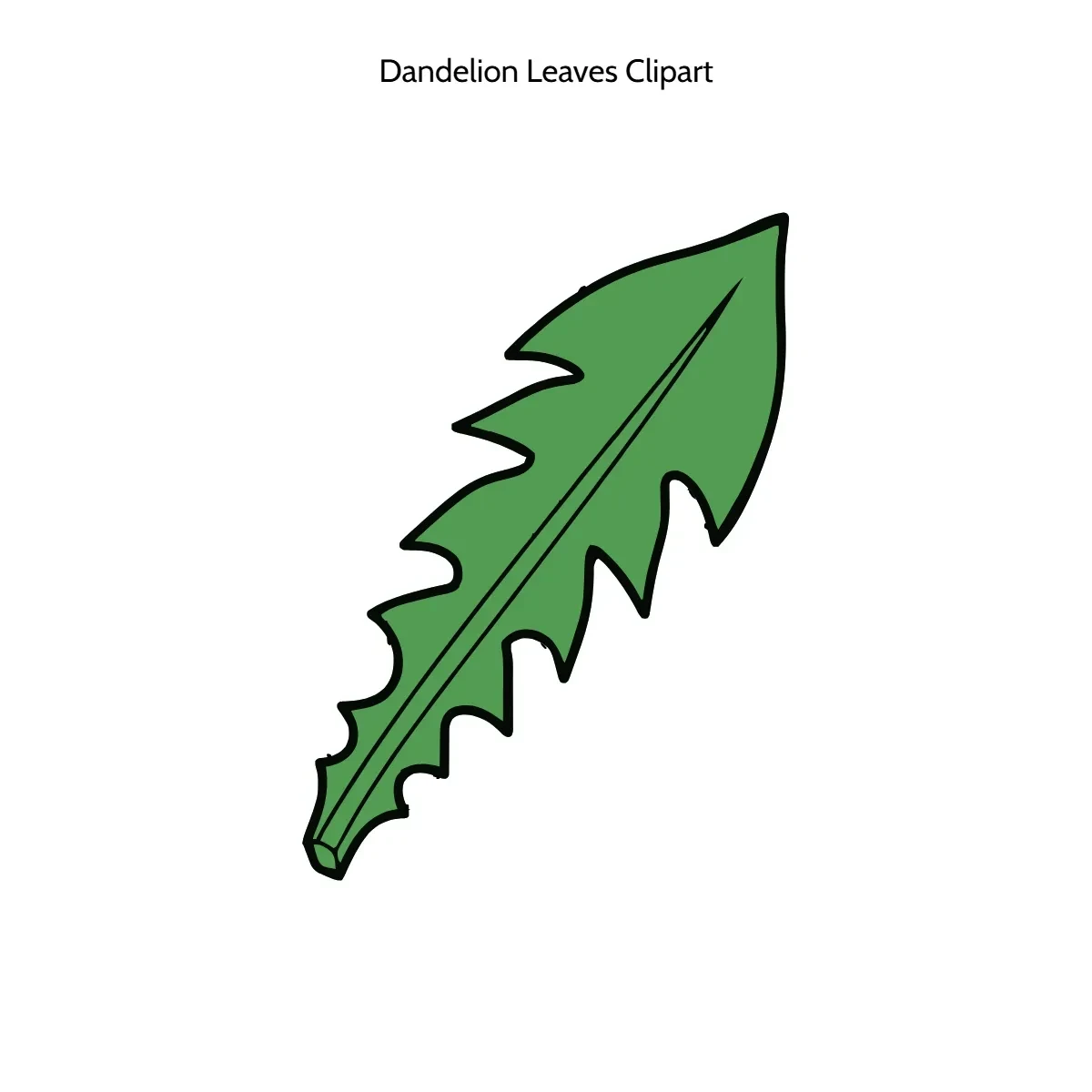 Free Dandelion Leaves Vector Clipart (PNG, SVG) to Edit Online