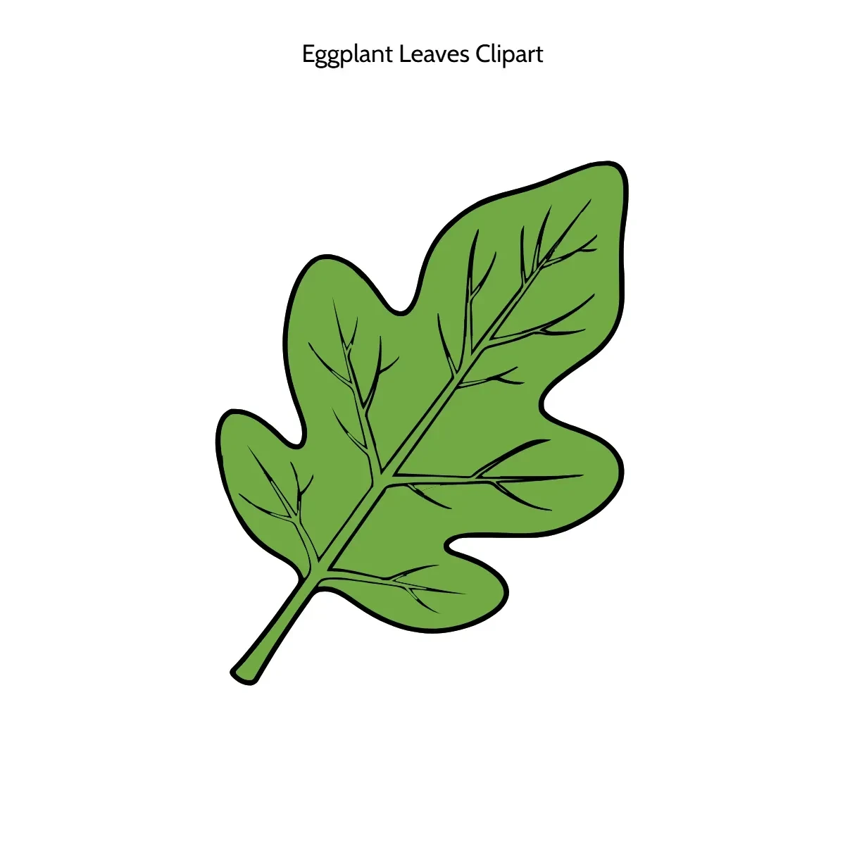 Free Eggplant Leaves Vector Clipart (PNG, SVG) to Edit Online