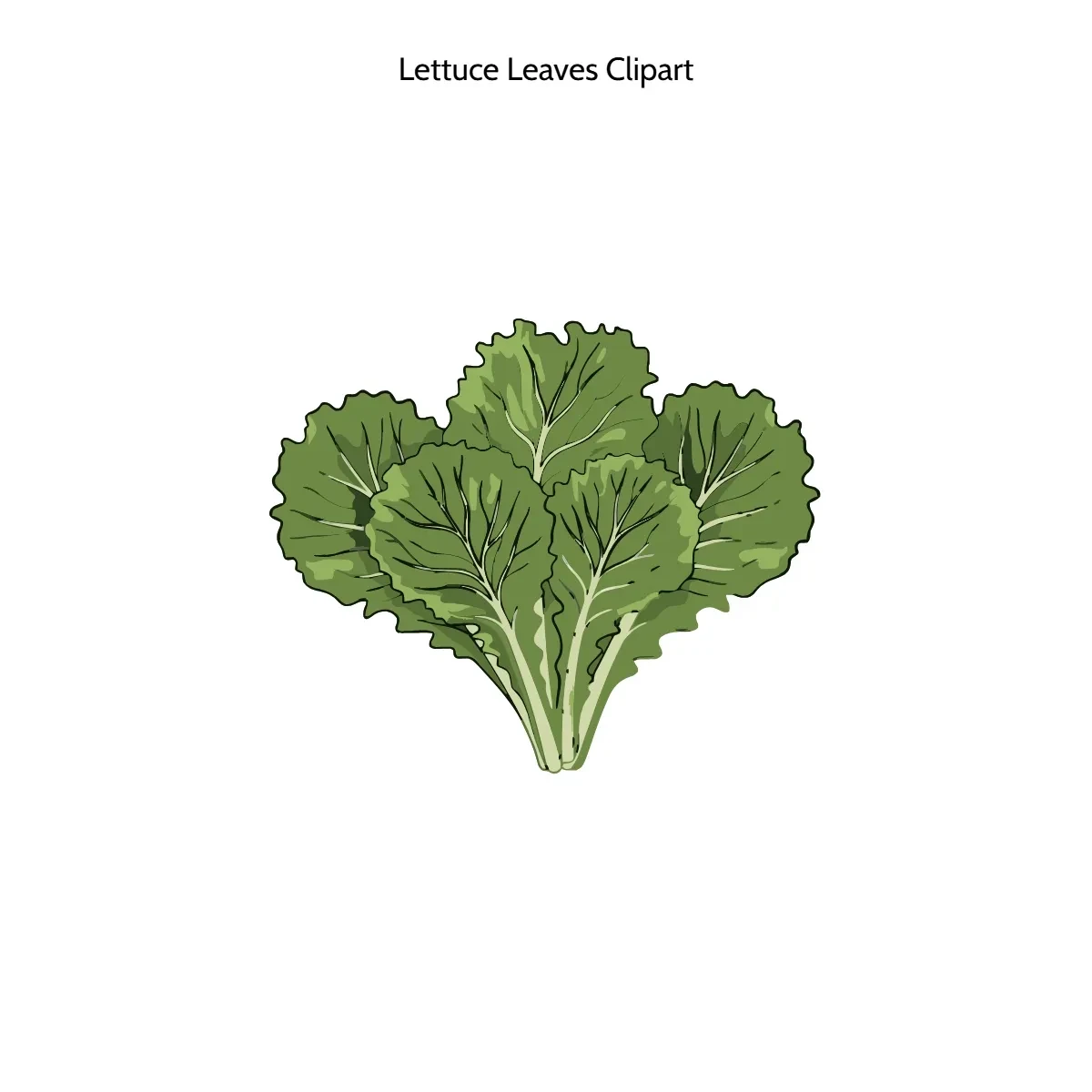 Free Gum Leaves Vector Clipart (PNG, SVG) to Edit Online