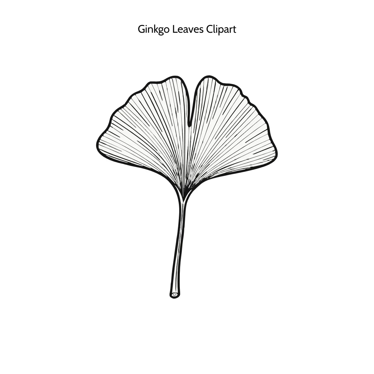 Free Ginkgo Leaves Vector Clipart (PNG, SVG) to Edit Online