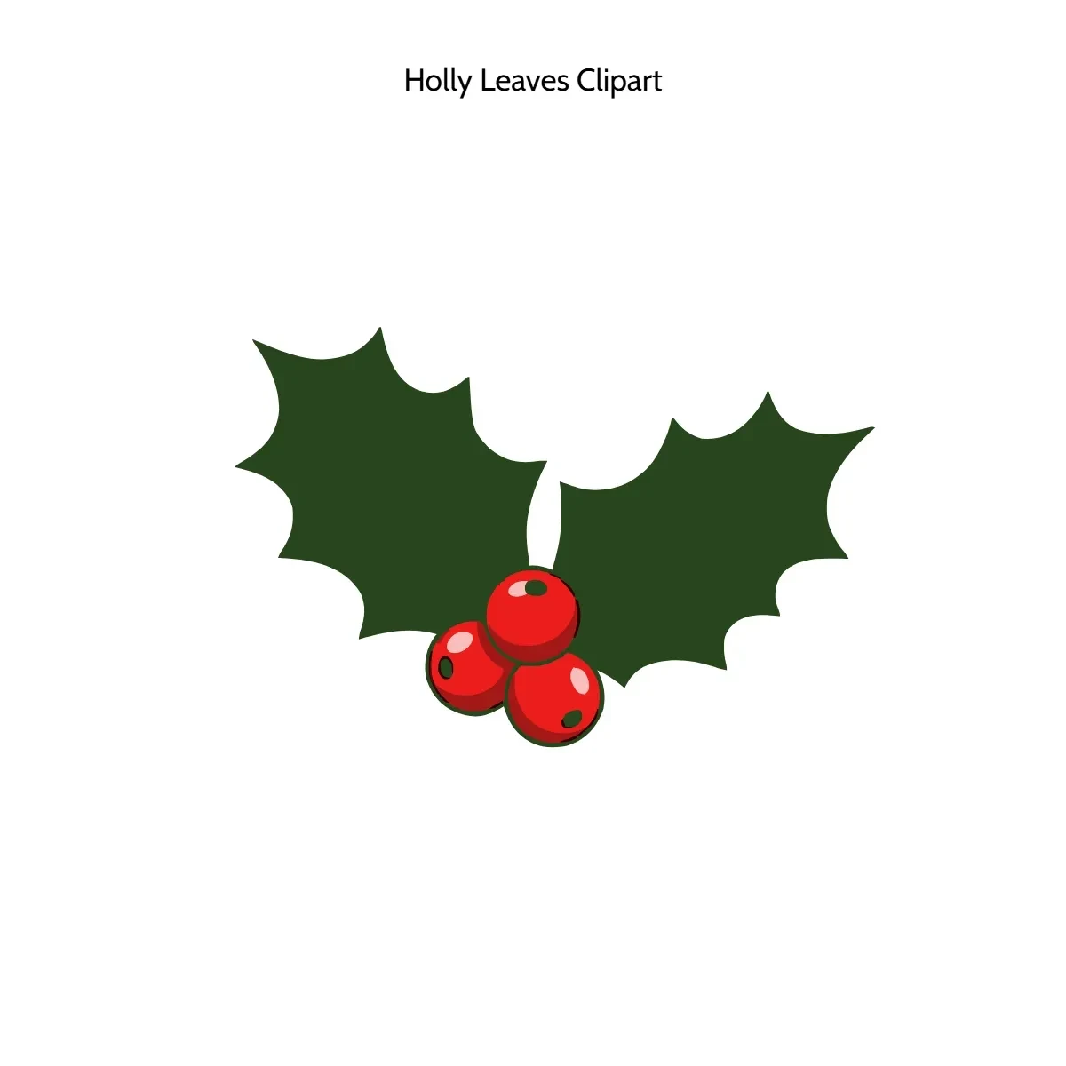 Free Holly Leaves Vector Clipart (PNG, SVG) to Edit Online
