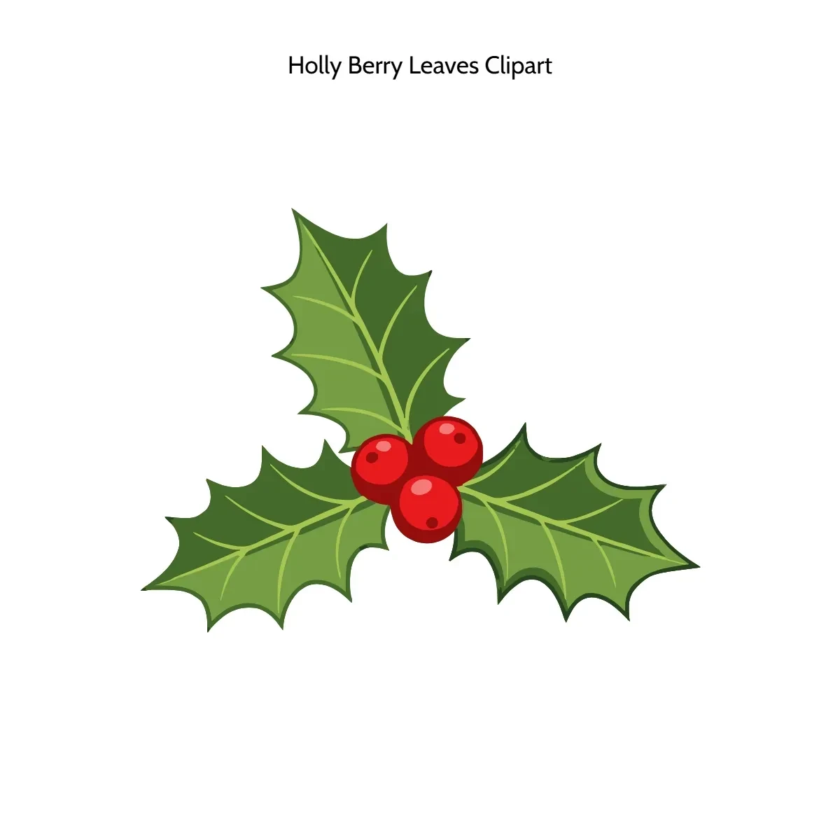 Free Holly Berry Leaves Vector Clipart (PNG, SVG) to Edit Online