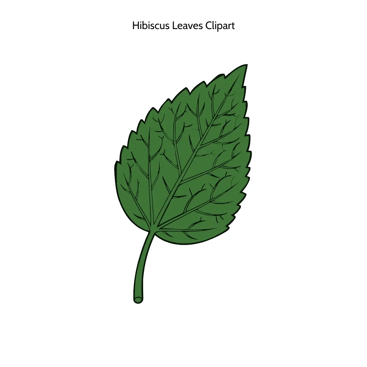 Free Hibiscus Leaves Vector Clipart (PNG, SVG) to Edit Online