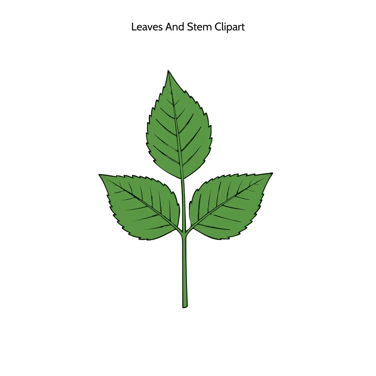 Free Leaves And Stem Vector Clipart (PNG, SVG) to Edit Online