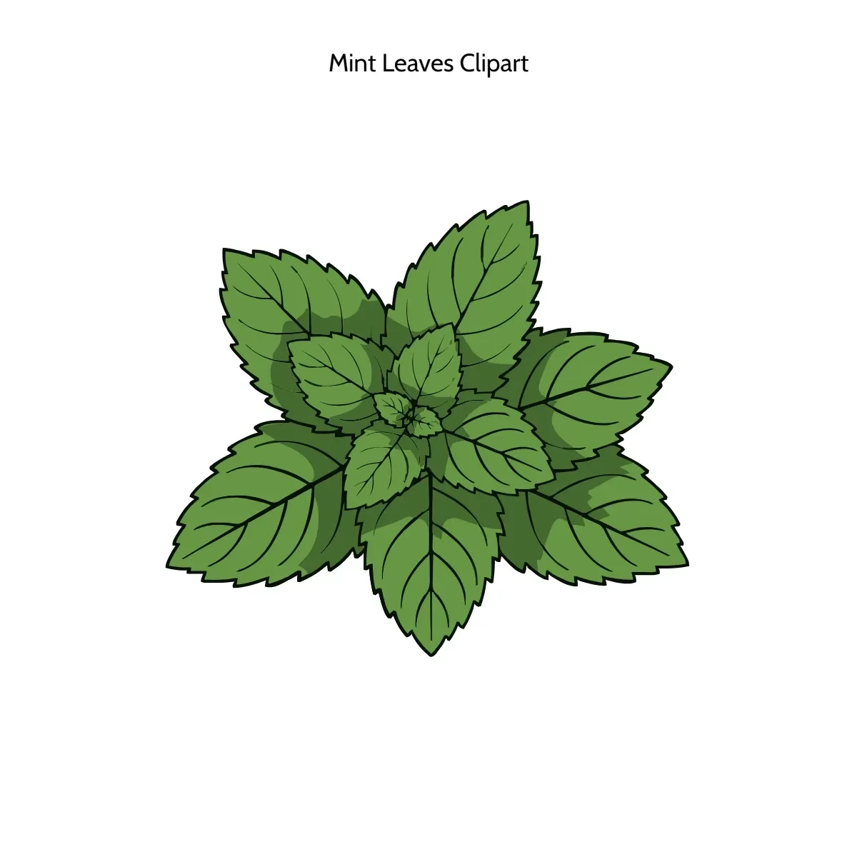 Free Mint Leaves Vector Clipart (PNG, SVG) to Edit Online