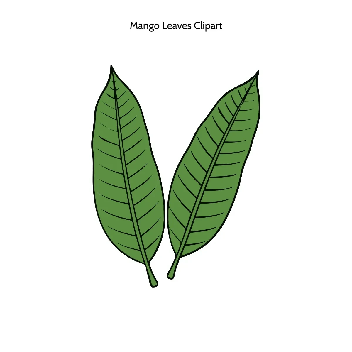 Free Mango Leaves Vector Clipart (PNG, SVG) to Edit Online