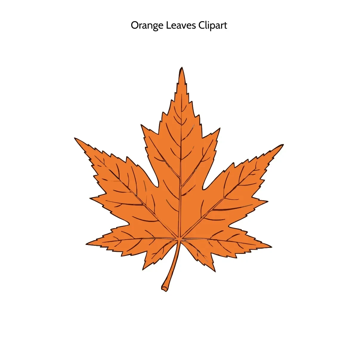 Free Orange Leaves Vector Clipart (PNG, SVG) to Edit Online