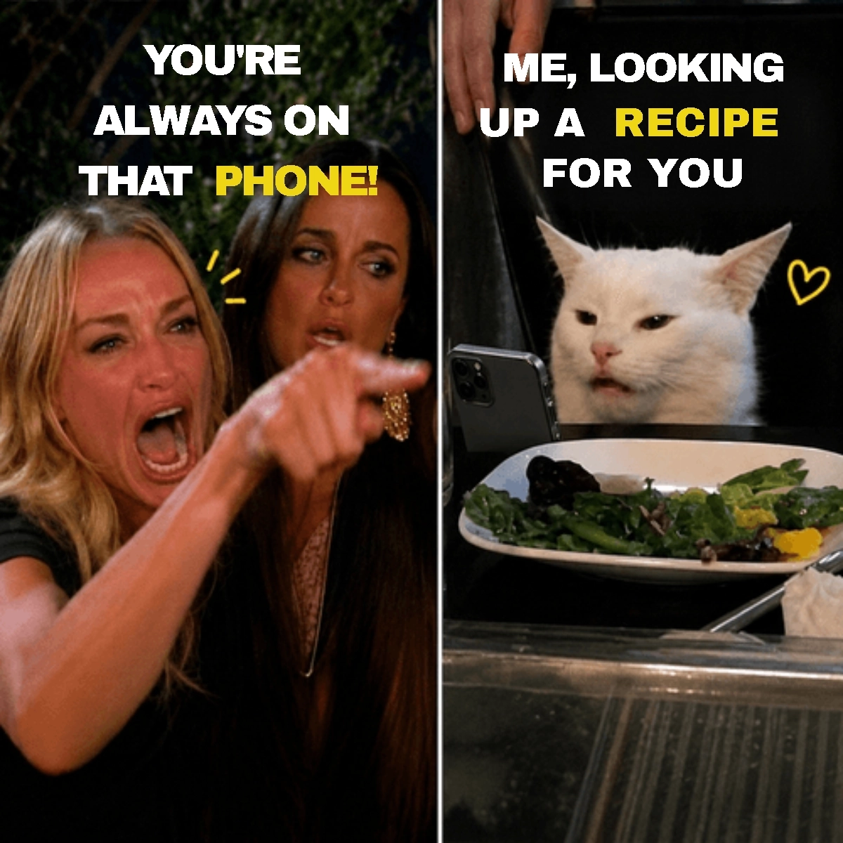 Free Woman Yelling at Cat Meme to Edit Online