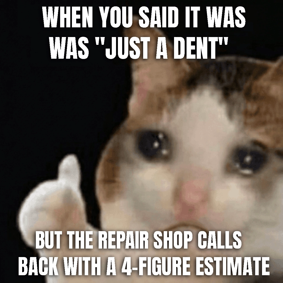 Free Crying Cat Meme to Edit Online