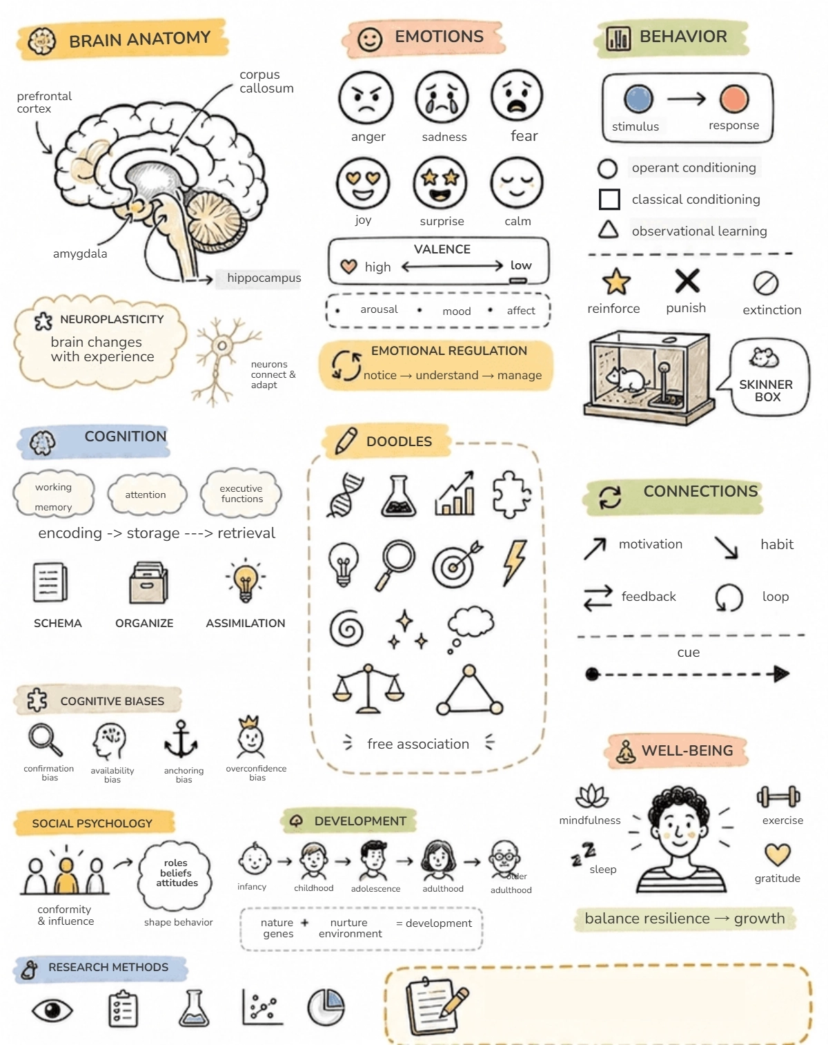 Free Psychology Sketchnote Template to Edit Online