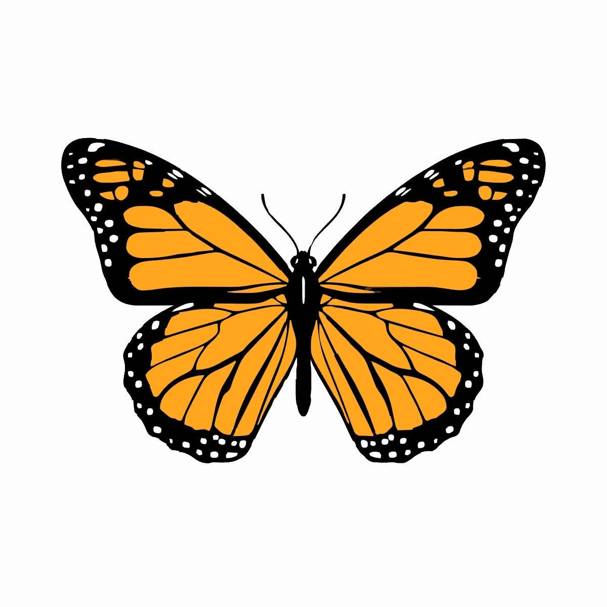 Free Butterfly Clipart Template to Edit Online