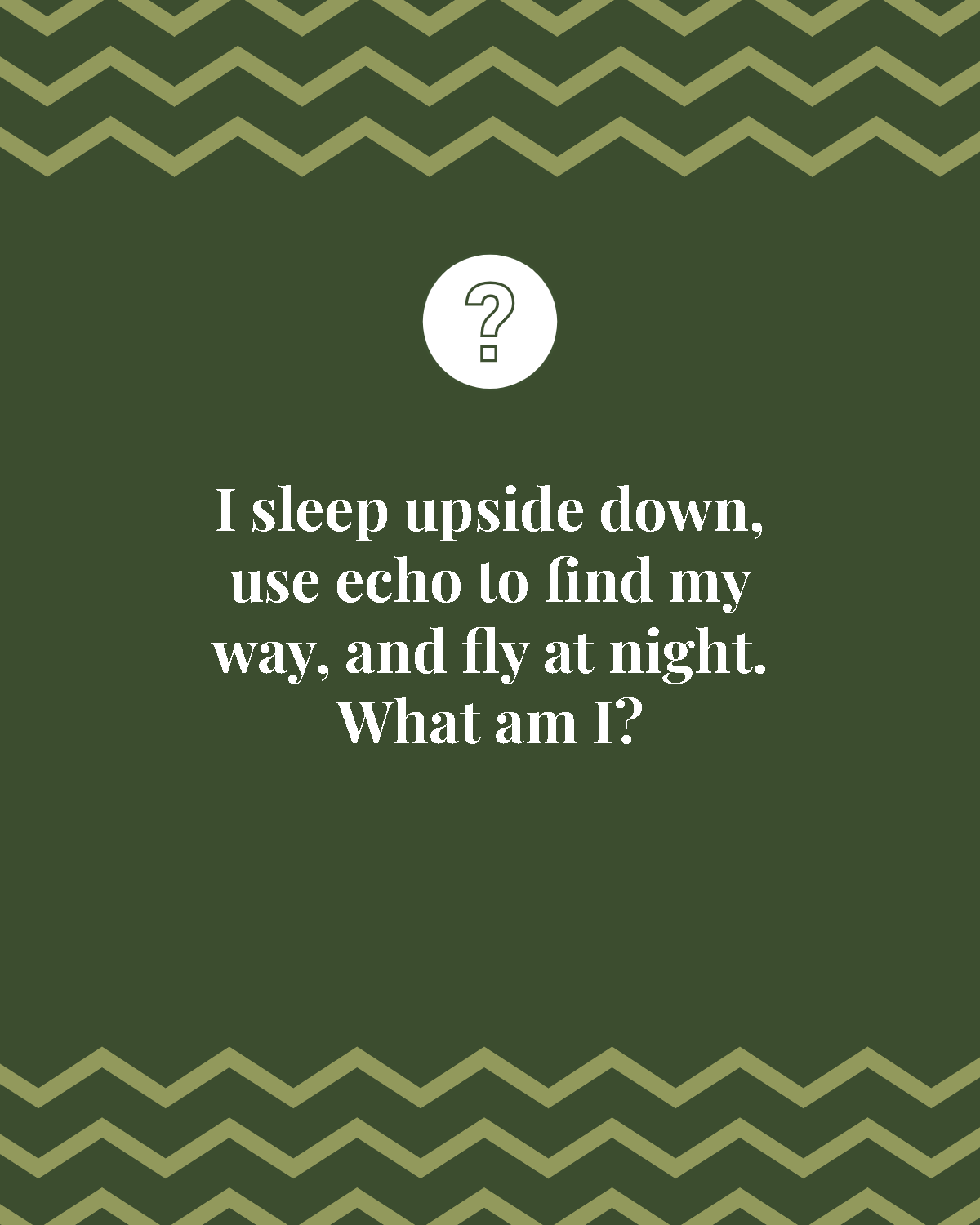 Free Animal Riddle Template to Edit Online