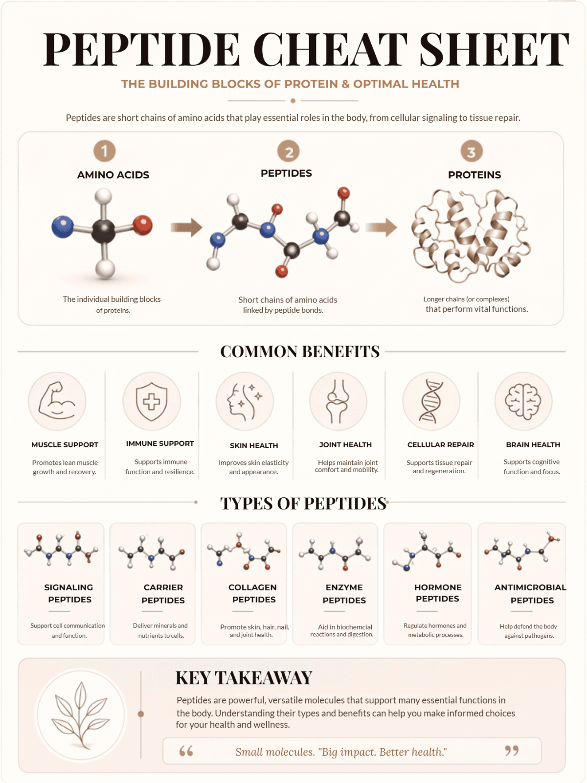 Free Peptide Cheat Sheet Template to Edit Online