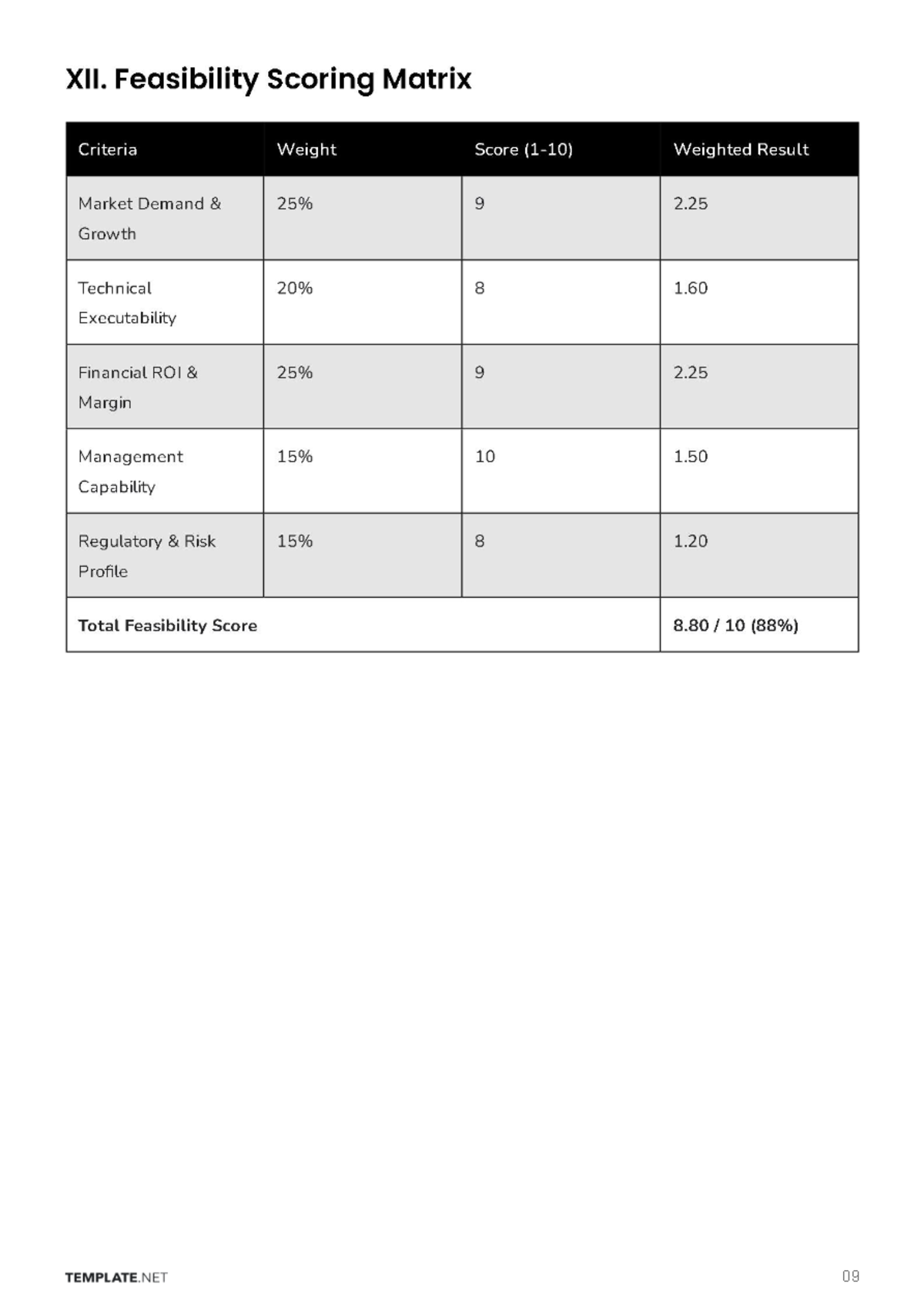 Free Feasibility Business Plan Template to Edit Online