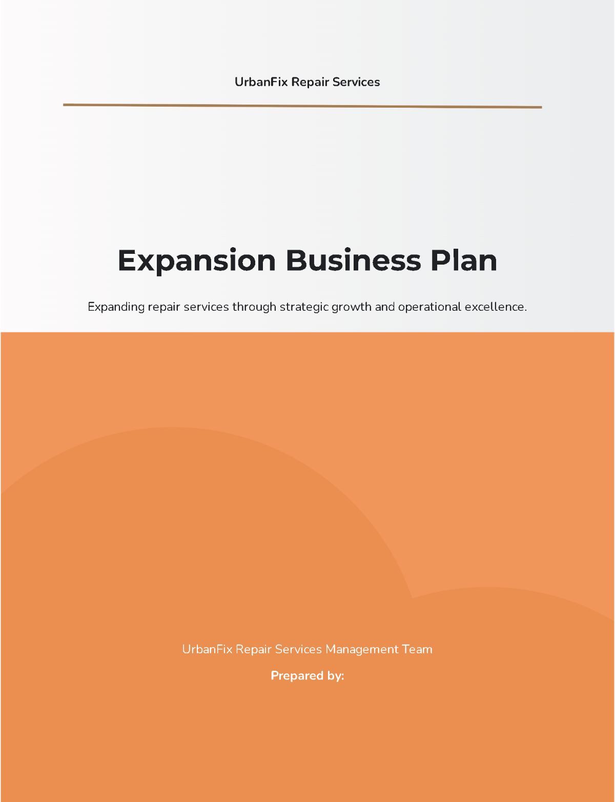Free Expansion Business Plan Template to Edit Online Free Expansion Business Plan Template to Edit Online